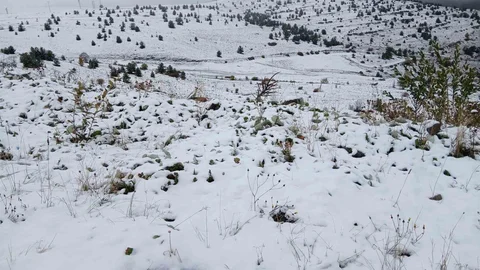 Ardahan'da yoğun kar yağışı etkili oldu