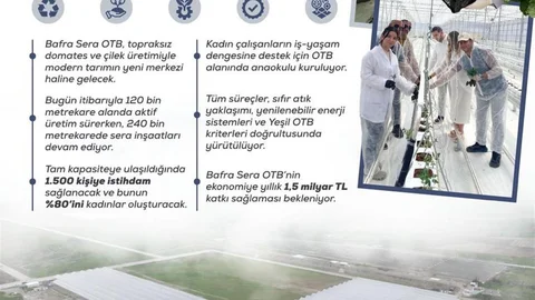 Bafra'da Kadın Eliyle Tarımda Yeni Dönem