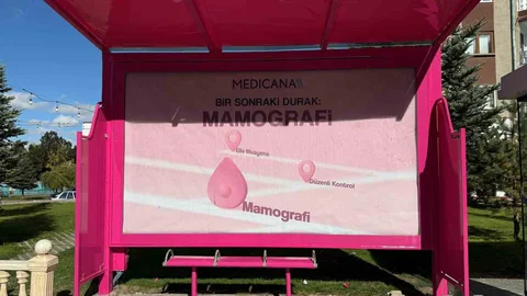 Sivas'ta duraklar pembe renge boyandı