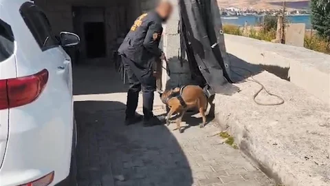 Bitlis'te uyuşturucu operasyonu