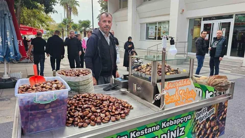 Balıkesir'de Kestane Sezonu Açıldı