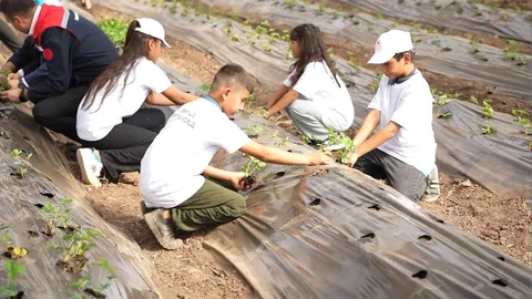 Osmaniye'de çocuklar çilek ekimi yaptı