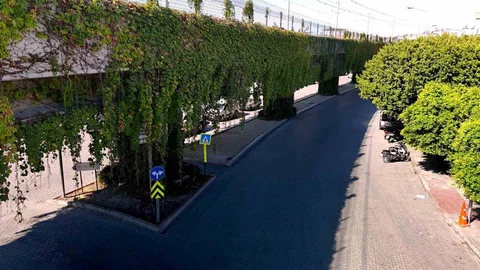 Adana'da metro yolu sarmaşıklarla kaplandı