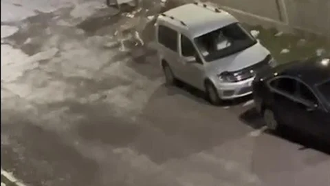 Kars'ta kurt kent merkezine indi