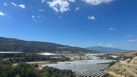 Denizli'de Çekirdeksiz Üzümler Koruma Altında