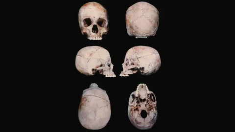 Diyarbakır'da Kaya kovuğundan çıkan cesedin kimliği 10 yıl sonra belirlendi