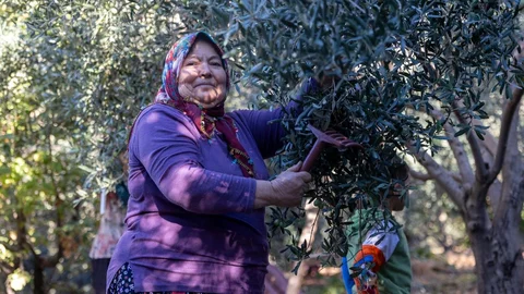 Tarlada İzi Olan Kadınların Büyükşehir İle Yüzü Gülüyor