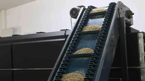 Muğla'da sokak hayvanlarına mama desteği sürüyor