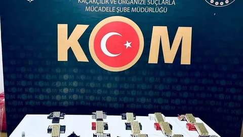 Karabük'te silah operasyonu