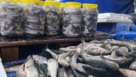 Van'da inci kefaline ilgi arttı