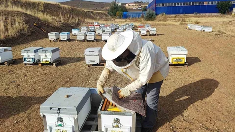 Yozgat'ta doğal bal üreten girişimci