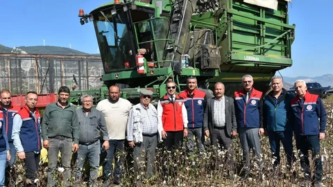 Aydın'da Pamuk Hasadı Devam Ediyor