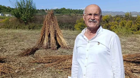 Antalya'da hırsızlar, coğrafi işaret tescilli Manavgat Altın Susamı'na dadandı.