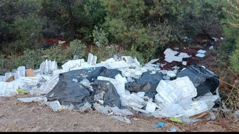 Denizli'de ormanlık alan çöplüğe döndü