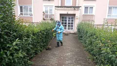 Kocaeli'de Yeşil Alan Bakım Çalışmaları