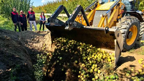 Bursa'da yasaklı zirai ilaçlar imha edildi