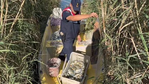 Mersin'de mavi yengeç avcıları yakalandı