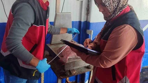 Zonguldak'ta su ürünleri denetimleri aralıksız sürmekte