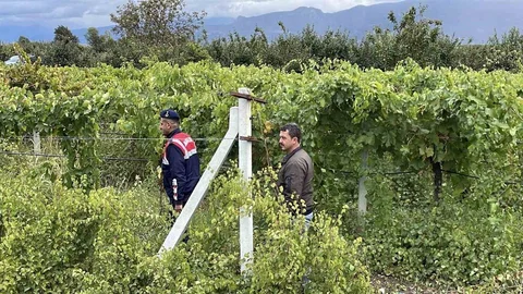 Sakarya'da Hırsızlıkla Mücadele İçin Nöbet Tutuluyor