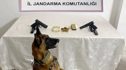 Şanlıurfa'da silah kaçakçılığına yönelik düzenlenen operasyonda 8 kişi gözaltına alındı.