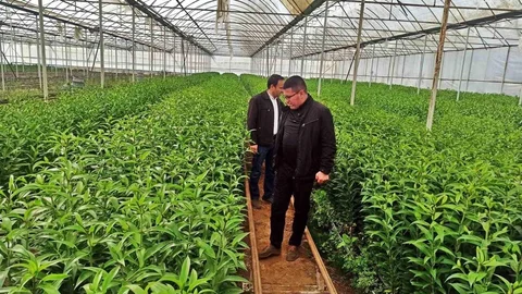 Kütahya'da üreticilere teknik gezi