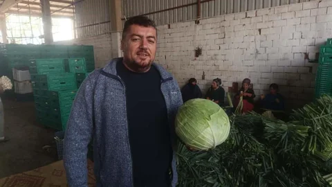 Bursa'da Kışlık Ürün Hasadı