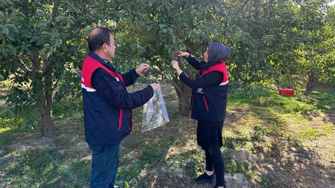 Afyonkarahisar'da zararlılara karşı numune alımı yapıldı