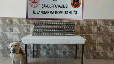 Şanlıurfa'da Kaçak Sigara Operasyonu