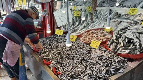 Karabük'te hamsi bolluğu ve fiyat düşüşü yaşanıyor
