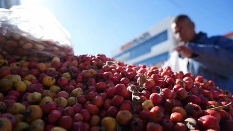 Erzincan’da seyyar satıcı İsa Kurt, dağdan topladığı yaban bitkileriyle vatandaşlara şifa dağıtıyor.