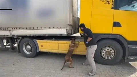 Kastamonu'da tırda uyuşturucu madde ele geçirildi