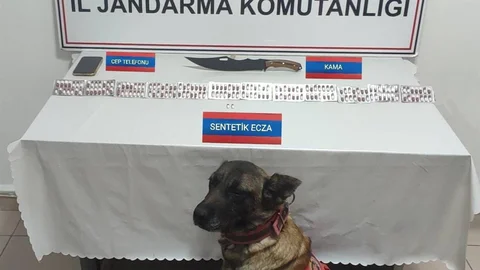Yozgat'ta uyuşturucu hapla yakalanan bir kişi gözaltına alındı.