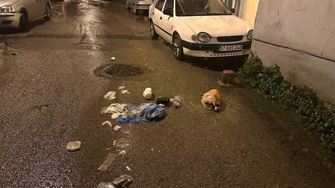 Sinop'ta gündüz vakti sokağa bırakılan çöpler büyük tepki topladı.