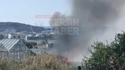 Mersin Aydıncık'ta Yangın