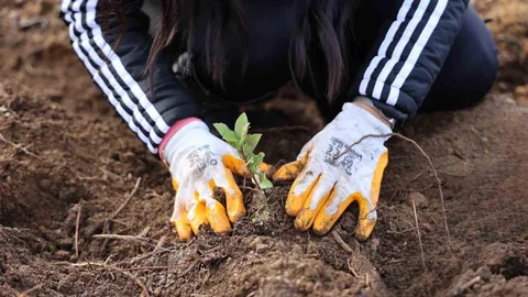 Bursa'da doğa dostu elektronik fatura dönemi