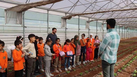 Şanlıurfa'da doğa ve tarım buluşması