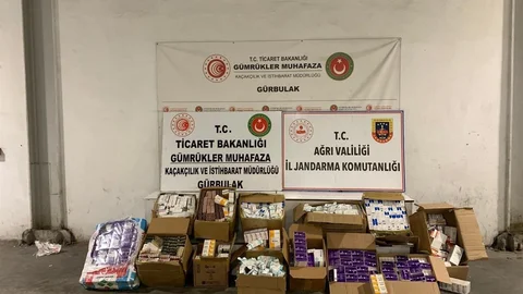 Ağrı'da Tırda Kaçak İlaç Ele Geçirildi