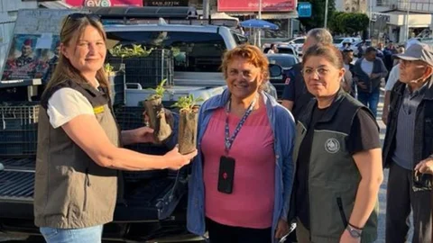 Anamur’da Üretimin ve Bereketin Simgesi Adına Dağ Çayı Fidanı Dağıtıldı