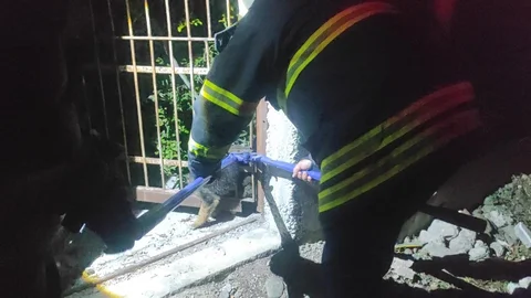 Hatay'da yavru köpek demir korkuluklardan itfaiye tarafından kurtarıldı