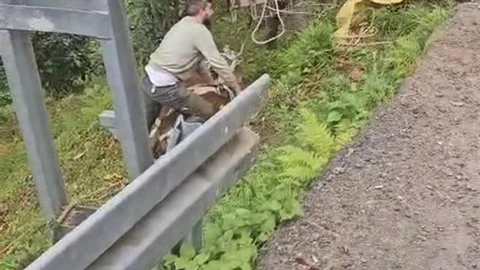 Rize'de İneği Vinçle Kurtardılar