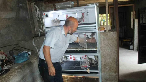 Şırnak'ta çiftçi, engelli aile bireyleri nedeniyle evinden çıkamayarak tavuk çiftliği kurdu.