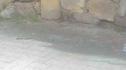 Kastamonu'da bıçaklama olayında tahrik indirimi uygulandı