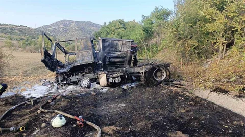 Bilecik'te kontrolden çıkan tır alev aldı.