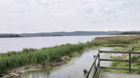 Sakarya'da Alüvyon Set Gölü Kuru Kalıyor