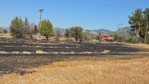 Bucak'ta arazide çıkan yangın itfaiye ekiplerince söndürüldü