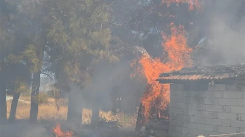 Bucak'ta odunlukta çıkan yangın korkuttu