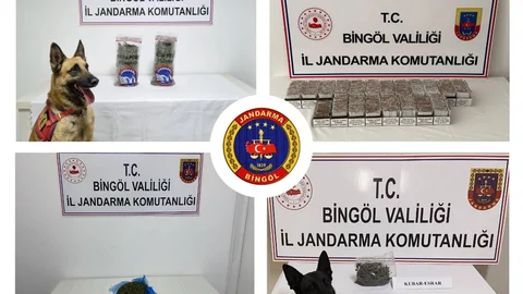 Bingöl'de jandarma ekipleri huzur ve güven için sahada