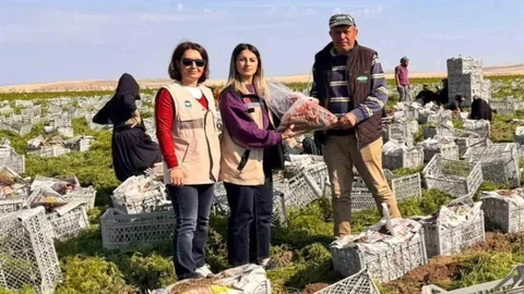 Beypazarı'nda gıda güvenliği denetimleri aralıksız sürüyor