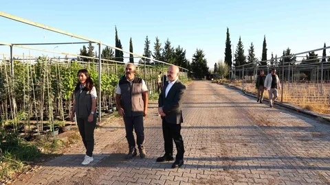 Adıyaman'da Vali Varol fidanlıkta incelemelerde bulundu