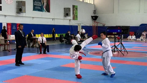 Aydın'da Genç Sporcular Karate Şampiyonası